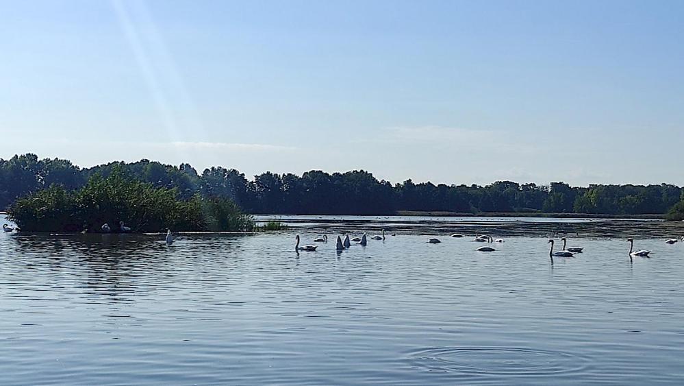 Ferienwohnung Am Olbasee Malschwitz Exteriér fotografie